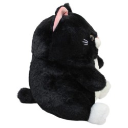Gato Nero Gde Con Sonido