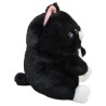 Gato Nero Gde Con Sonido