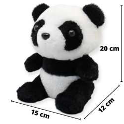Pandita Duryan Ch