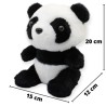 Pandita Duryan Ch