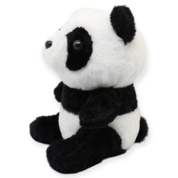 Pandita Duryan Ch