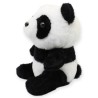 Pandita Duryan Ch