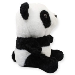 Pandita Duryan Ch