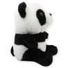 Pandita Duryan Ch