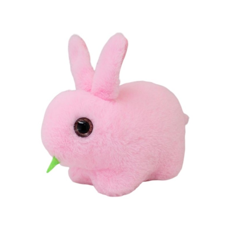 Conejo Alfalfani Rosa Ch