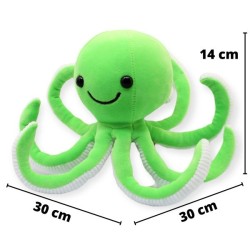 Pulpo Galleton Verde Med