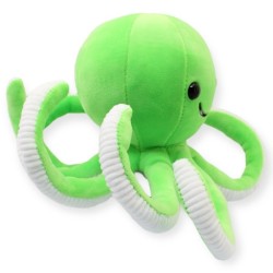 Pulpo Galleton Verde Med