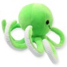 Pulpo Galleton Verde Med