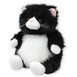 Gato Blackson Gde