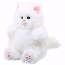 Gato Angorus Extra Gde