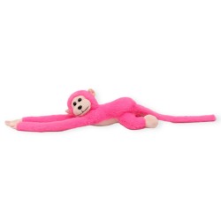Chango Pingorito Rosa Mexicano Med