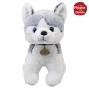 Perro Husky Yukony Gde Con Sonido