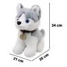 Perro Husky Yukony Gde Con Sonido