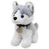 Perro Husky Yukony Gde Con Sonido