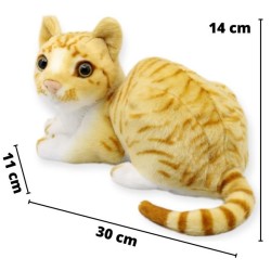 Gato Fifimiu Tangerine Gde Con Sonido