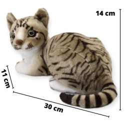 Gato Fifimiu Tabby Gde Con Sonido