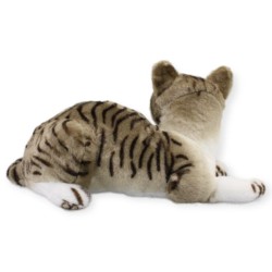 Gato Fifimiu Tabby Gde Con Sonido