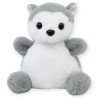 Perro Husky Huxi Ch