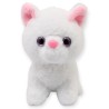 Gatita Whifus Ch