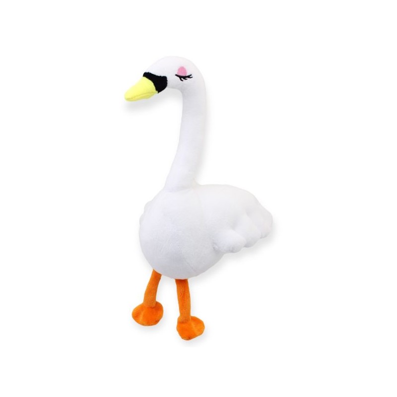 Cisne Blanco Gde