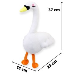 Cisne Blanco Gde