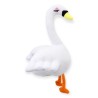 Cisne Blanco Gde