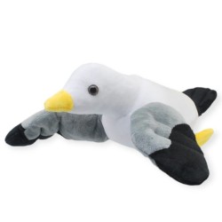 Gaviota Larus Med
