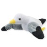 Gaviota Larus Med