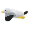 Gaviota Larus Med