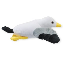 Gaviota Larus Med