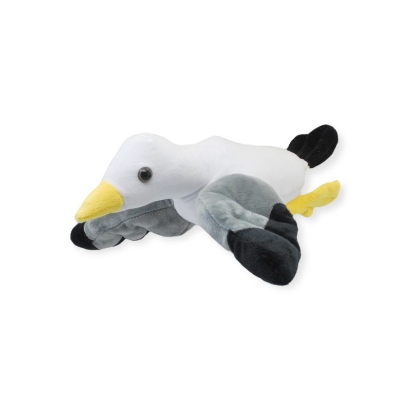 Gaviota Larus Gde