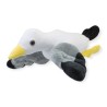 Gaviota Larus Gde