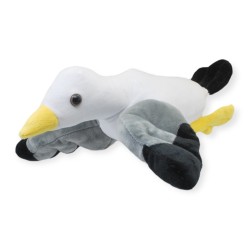 Gaviota Larus Gde