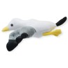 Gaviota Larus Gde