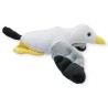 Gaviota Larus Gde