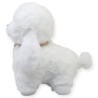 Perrita Pachidogy Blanca Gde