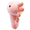 Ajolote Axolotl Rosa Med