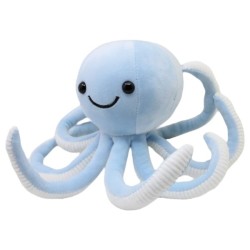 Pulpo Galleton Azul Med