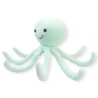 Pulpo Maya Aqua Med