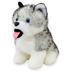 Perro Huskytong Ch