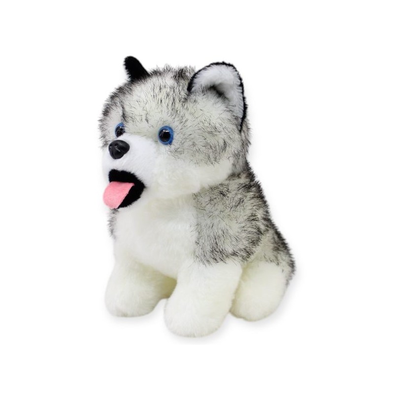 Perro Huskytong Ch
