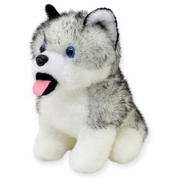 Perro Huskytong Ch