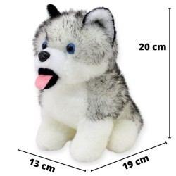 Perro Huskytong Ch