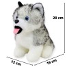 Perro Huskytong Ch