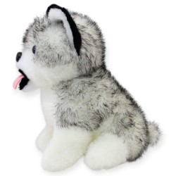 Perro Huskytong Ch