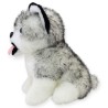 Perro Huskytong Ch