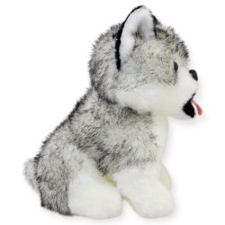 Perro Huskytong Ch