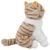 Gato Ronroneti Gde Con Sonido (Tangerine)
