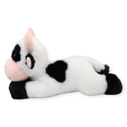 Vaca Sheikira Gde