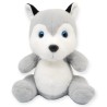 Perro Husky Greyko Med